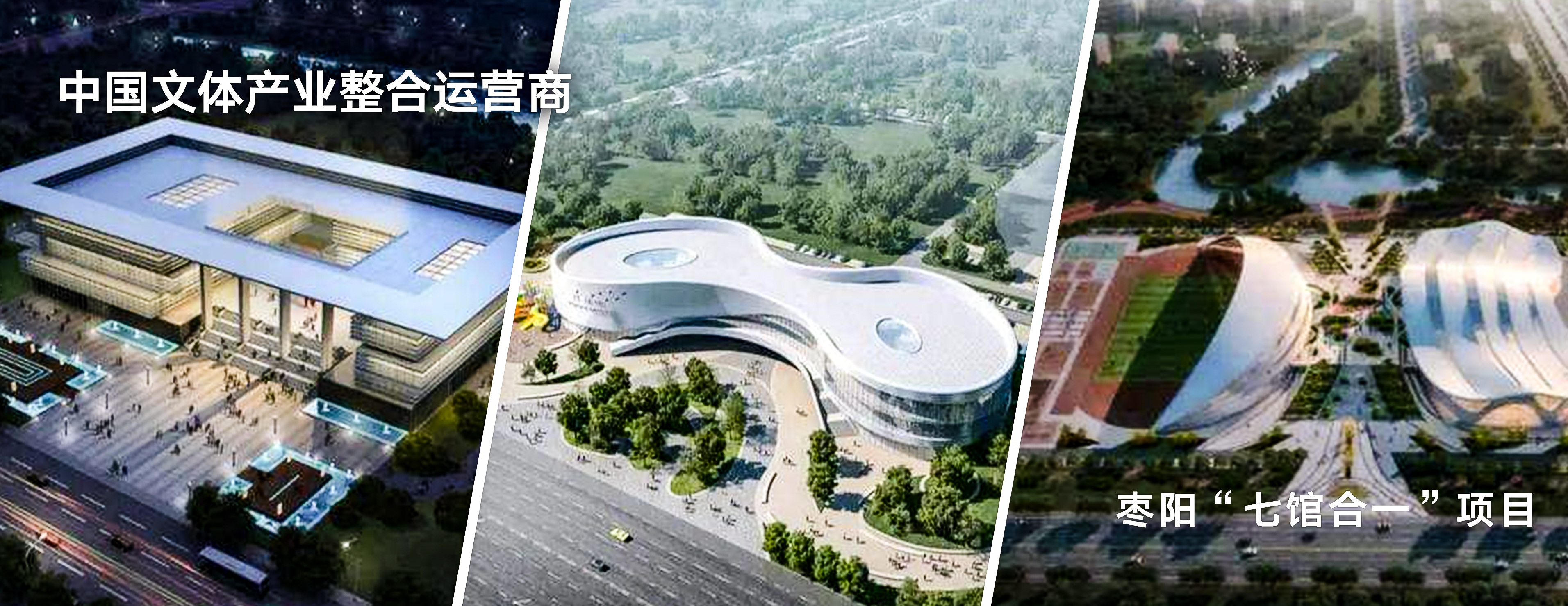 枣阳市&ldquo;七馆合一&rdquo;项目
